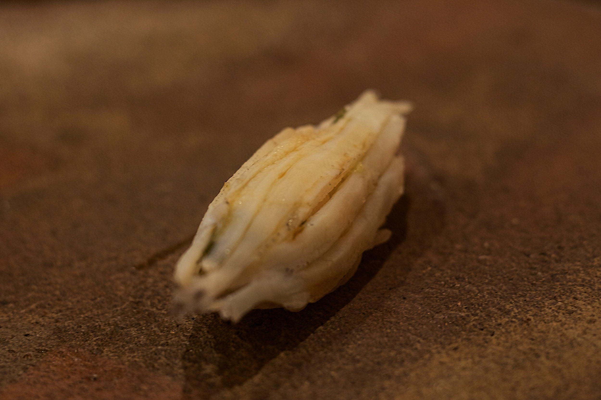 Shira-uo (白鱼 / Icefish)