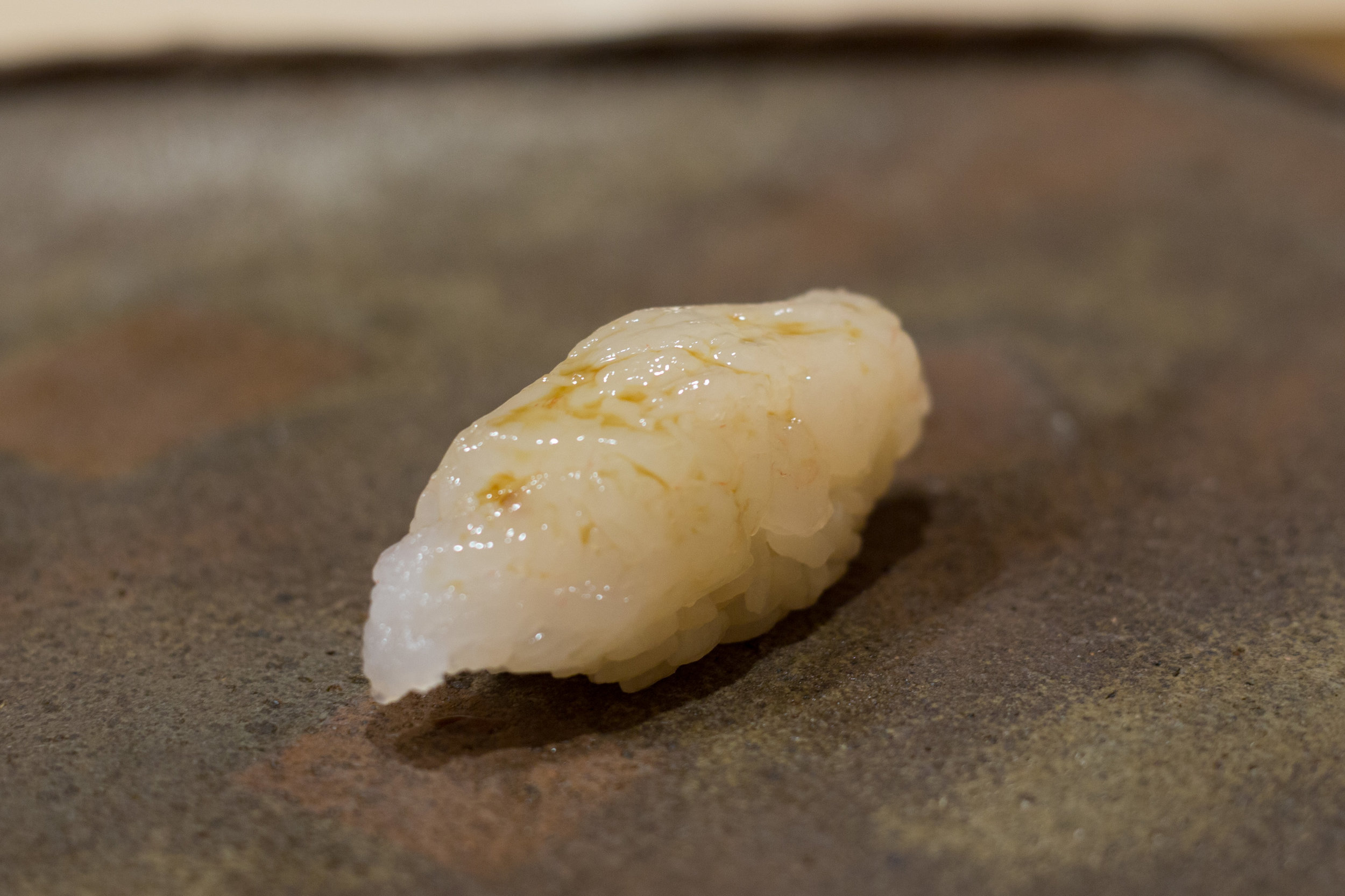Shiro Ebi (白海老 / Baby White Shrimp)